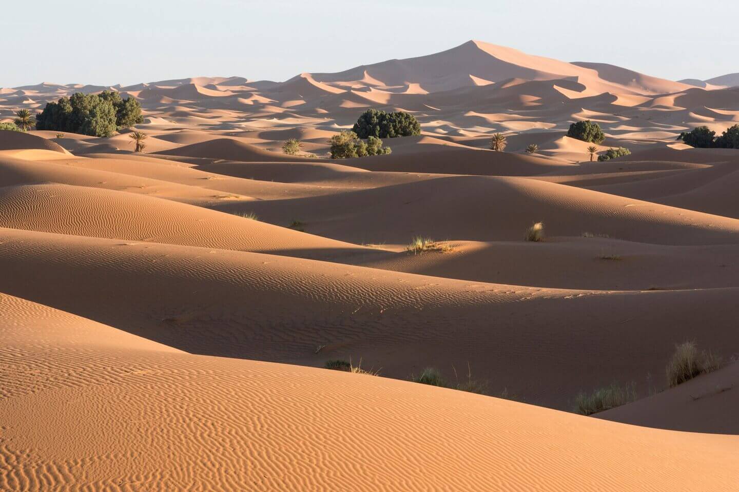 Sahara Dunes