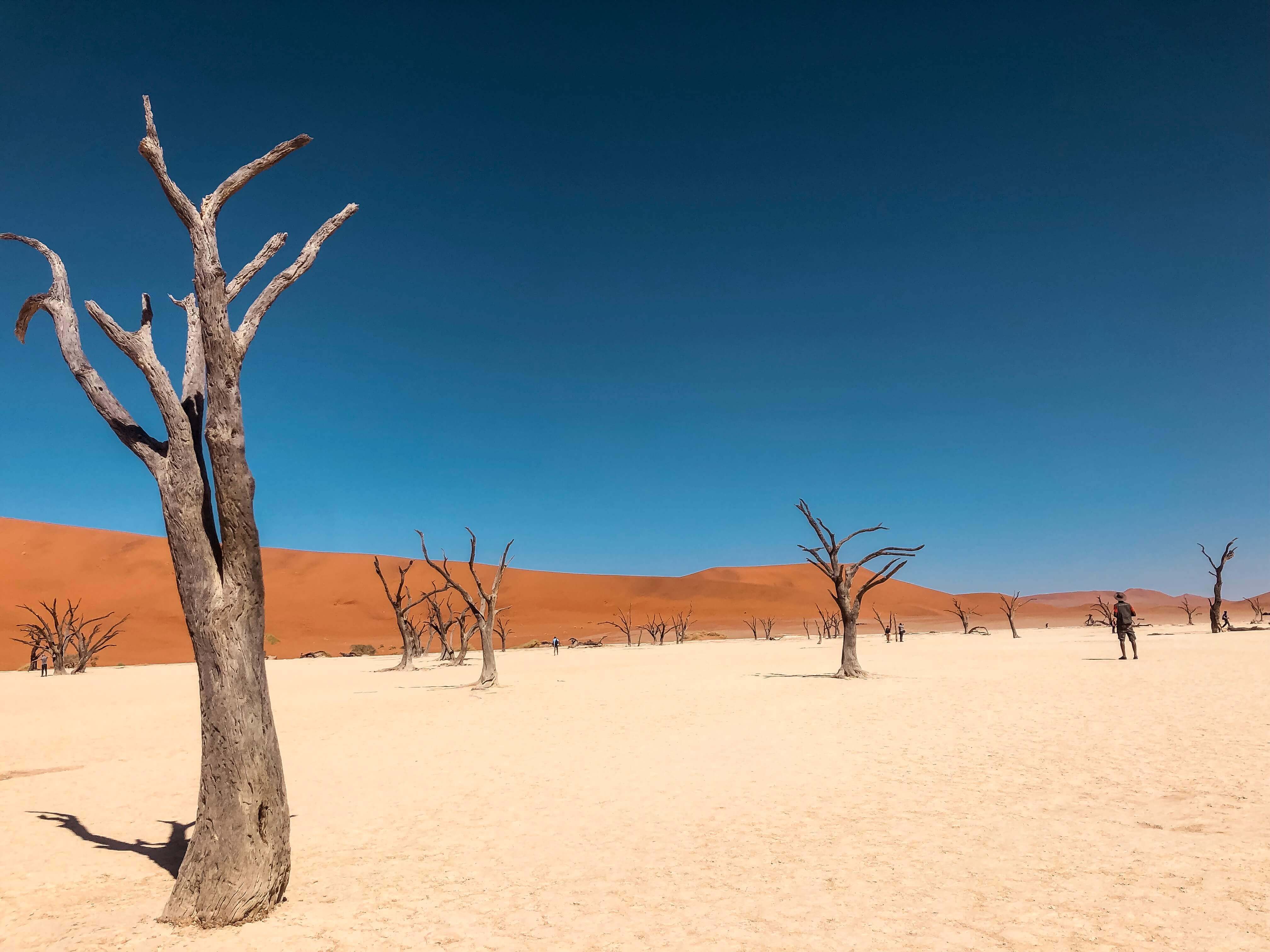 Sossusvlei Dunes